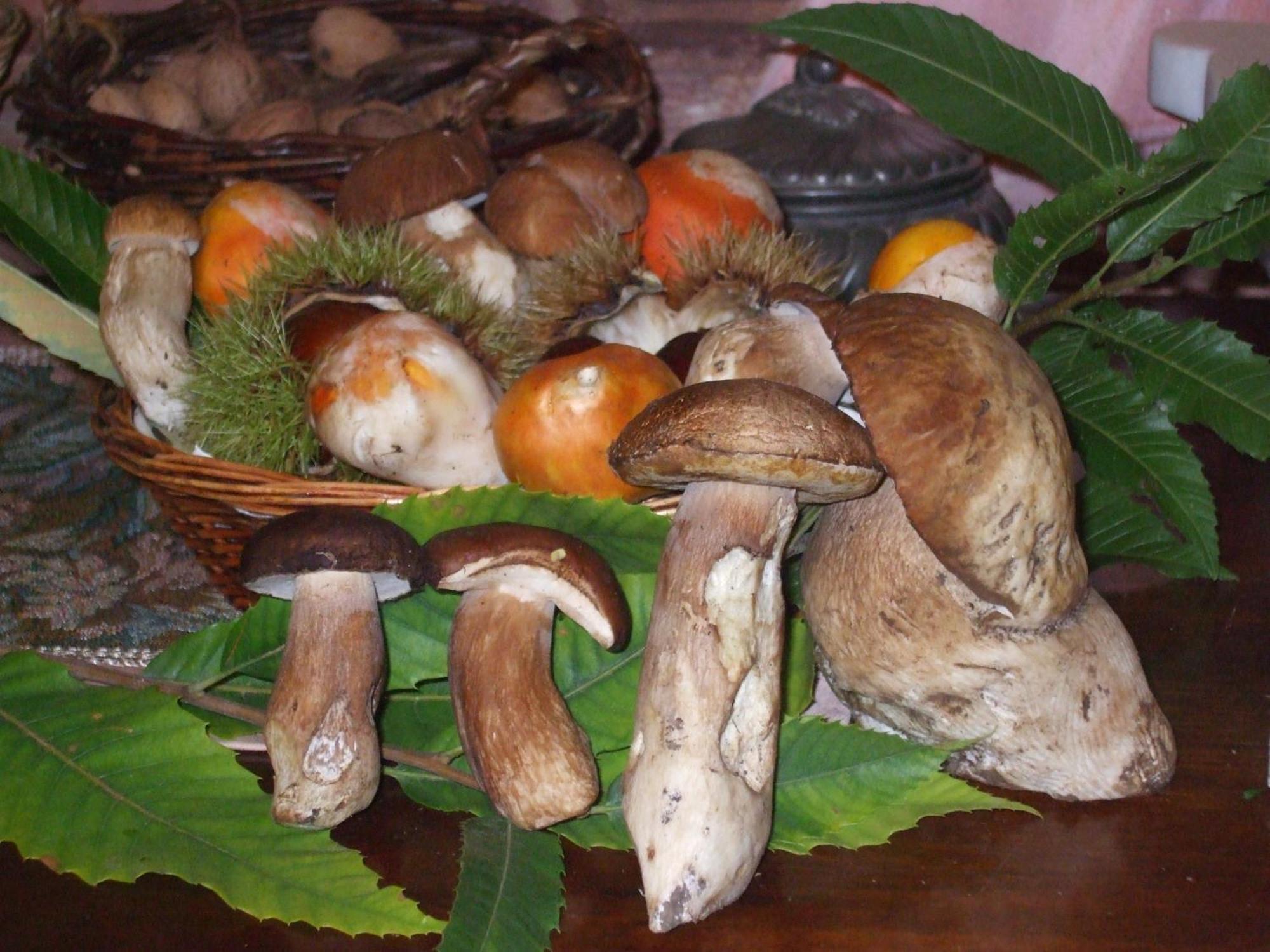 Nonno Tobia Agerola