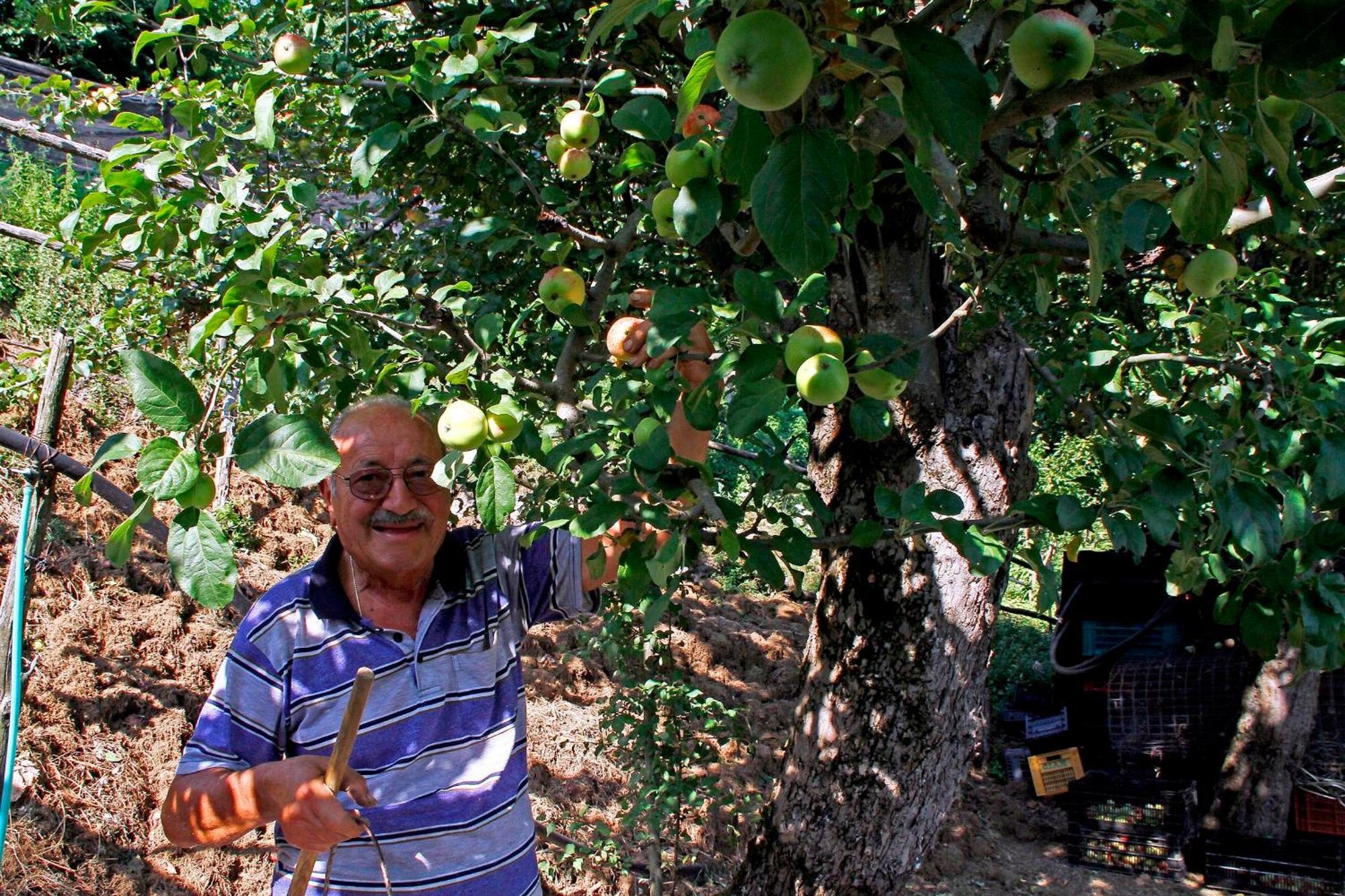 Nonno Tobia Agerola