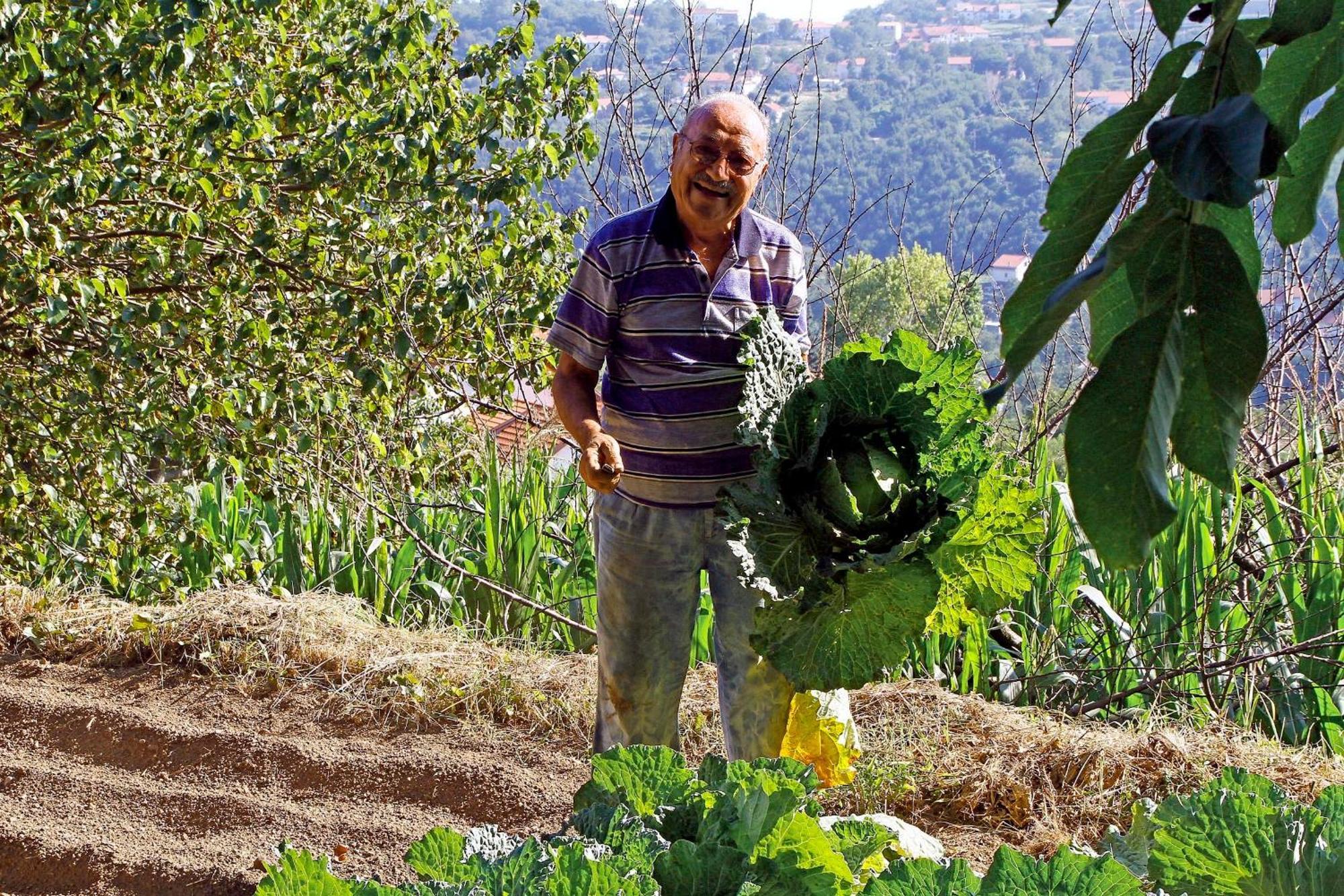 Vakantieboerderij Nonno Tobia