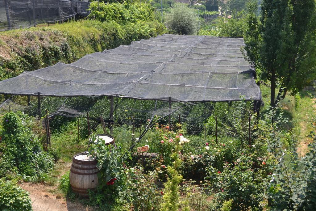 Nonno Tobia Vakantieboerderij